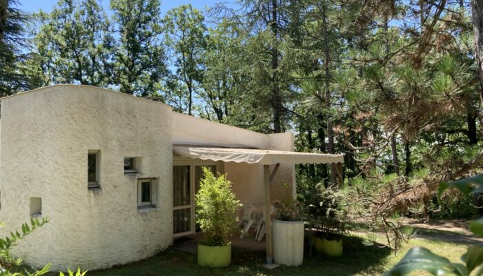 IMG_6696(1) IMG_6696(1)